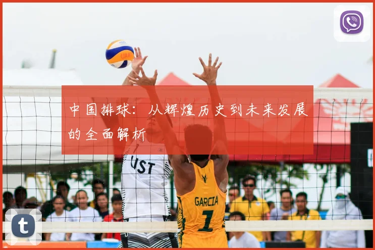 中国排球：从辉煌历史到未来发展的全面解析